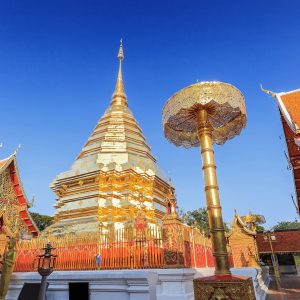 Cultural Discovery Voyage